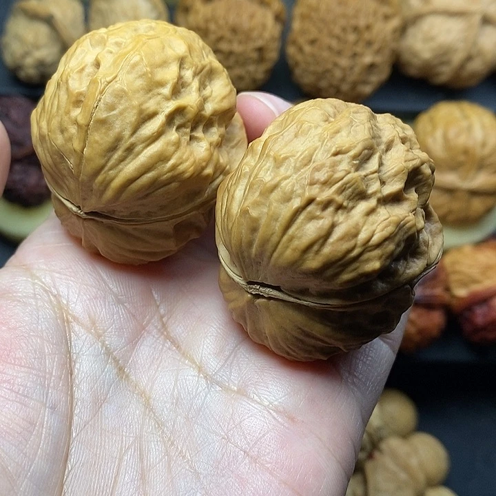 吊坠桃核玄武金蟾47尺