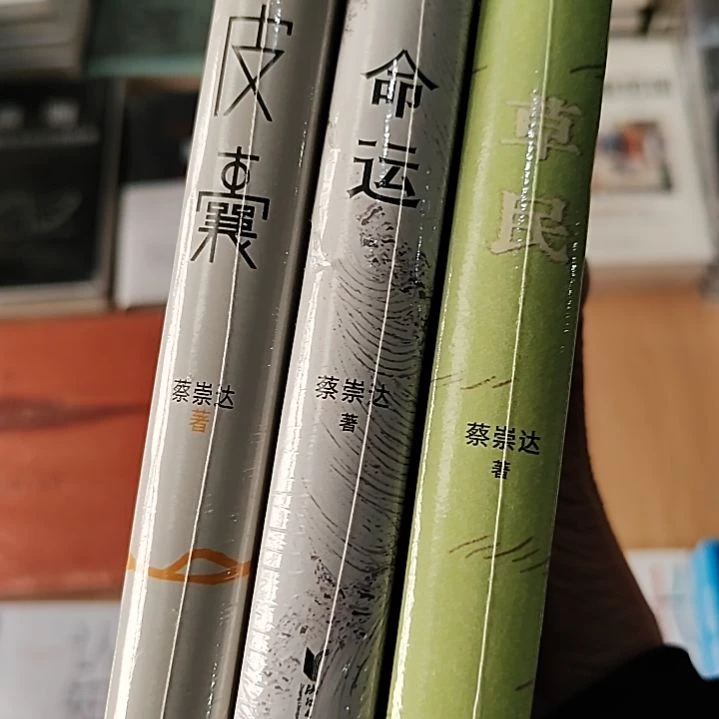 蔡崇达皮囊命运草民三本