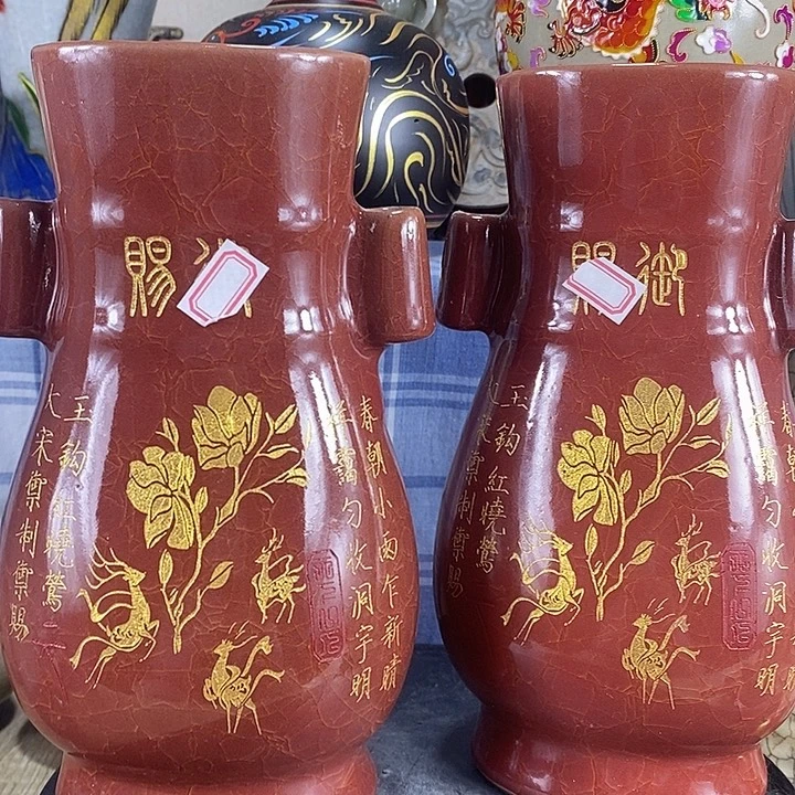 陶泽如花儿盛开了