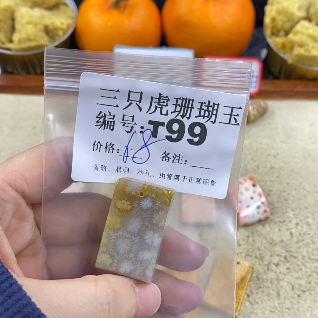 硅化珊瑚（珊瑚玉）1未镶嵌文****y