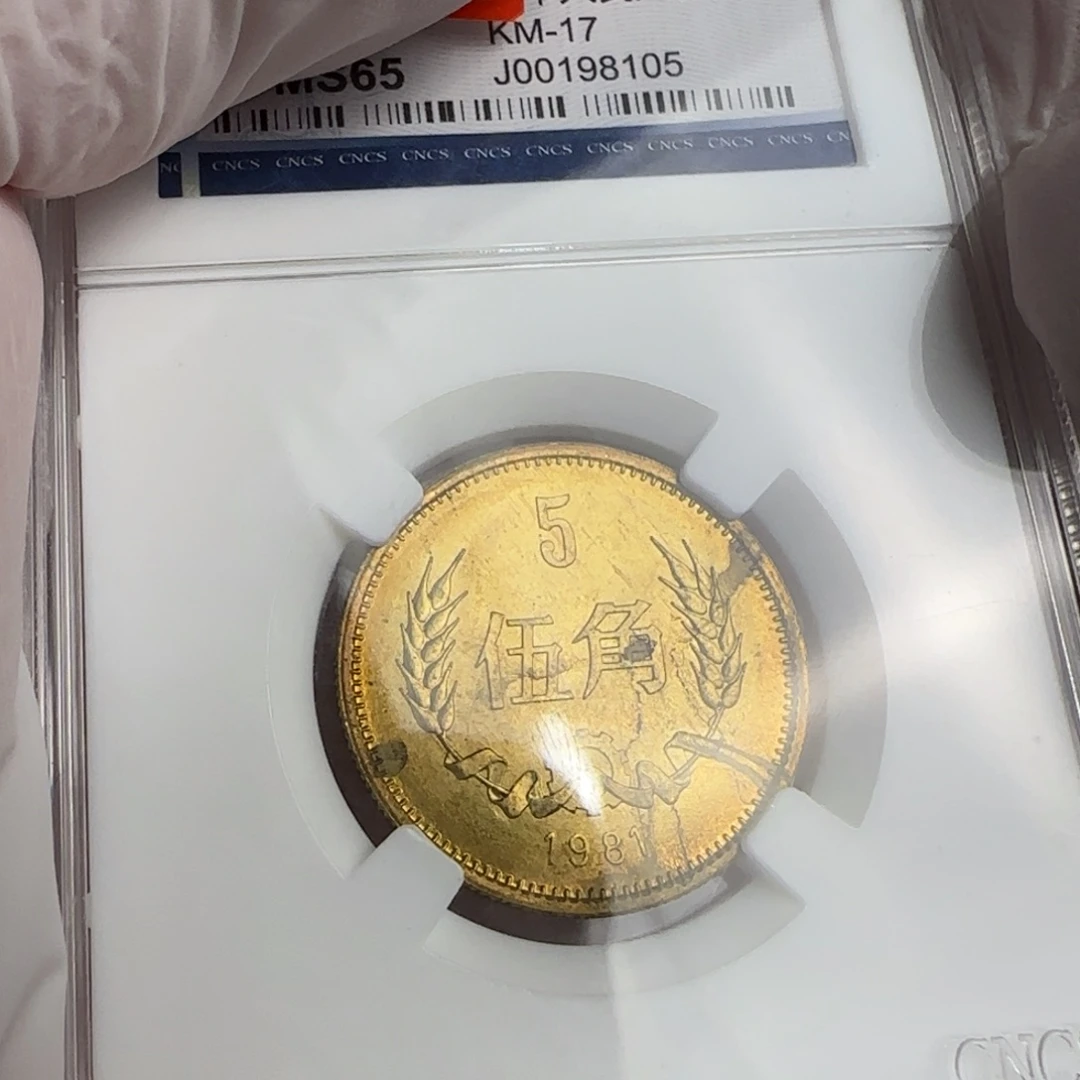 81年五角评级带包浆点