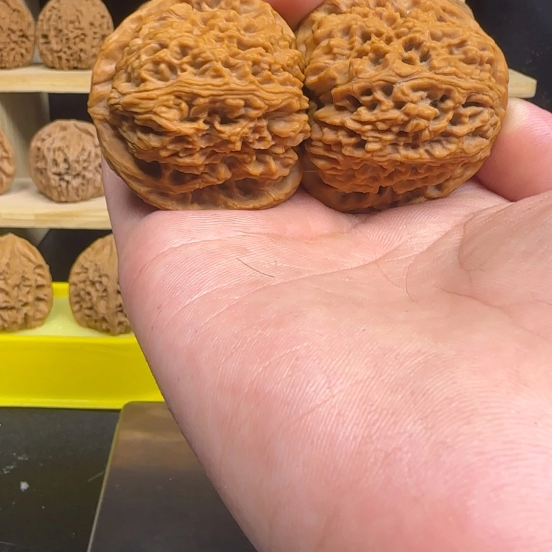 跟***晚吊坠龙脊菩提南疆石