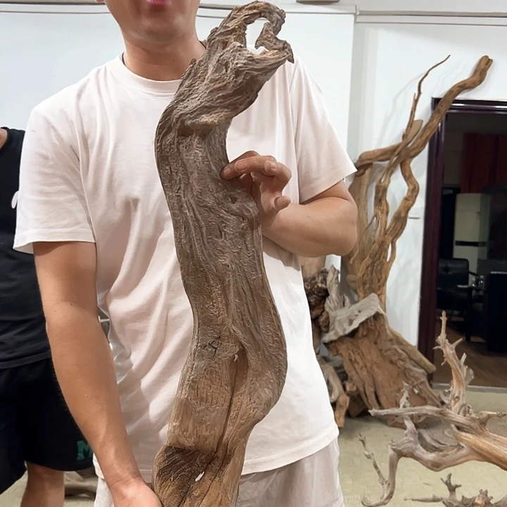 柏木叶*明我们的生活是以自己为