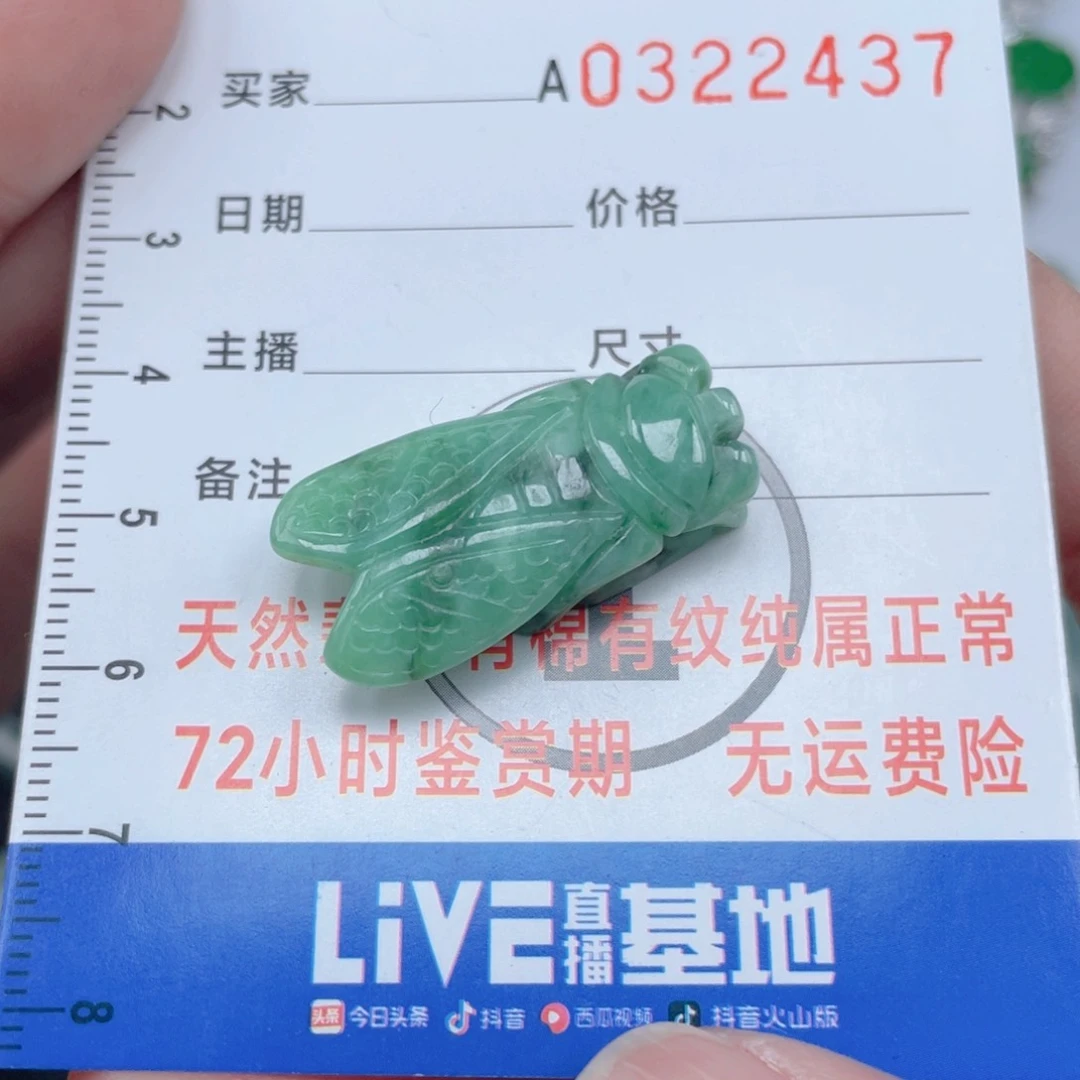 翡翠颈饰未镶嵌95858595989