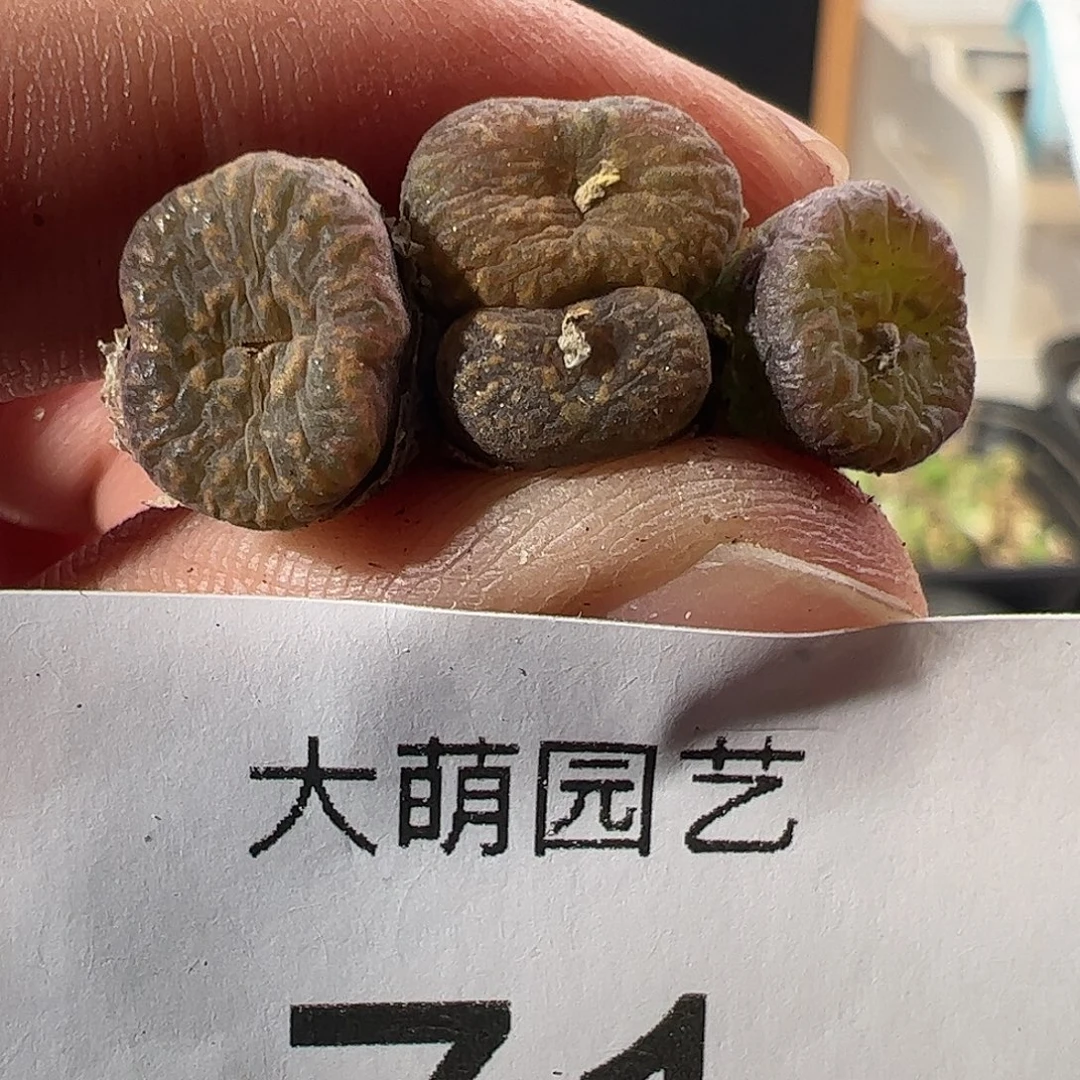 一物一拍。        41