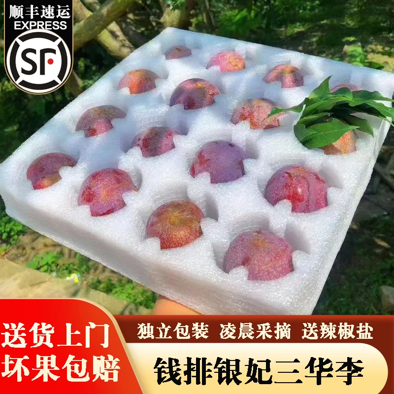 （顺丰速发）正宗钱排银妃三华李 红心李子酸甜爽口礼盒装可选