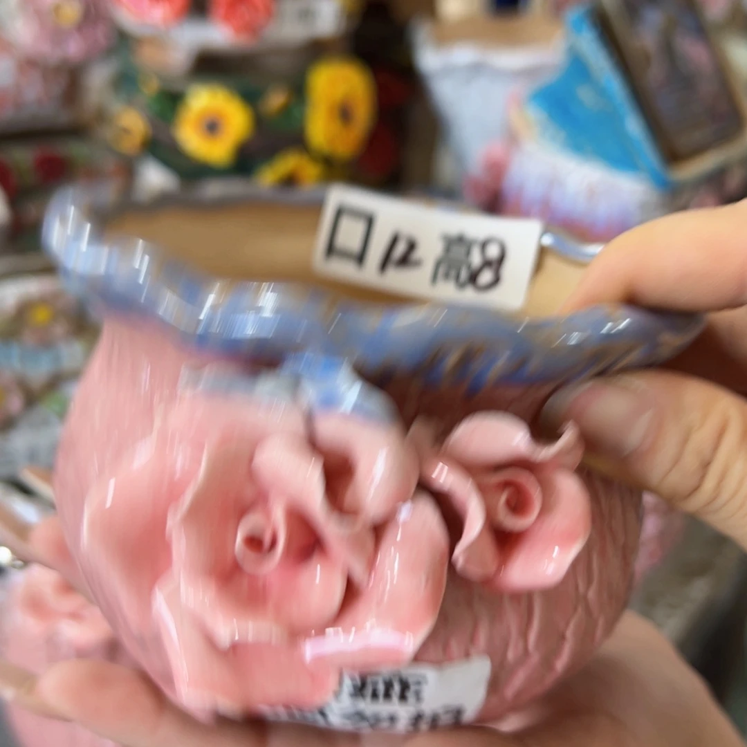 满18.8元包邮发货