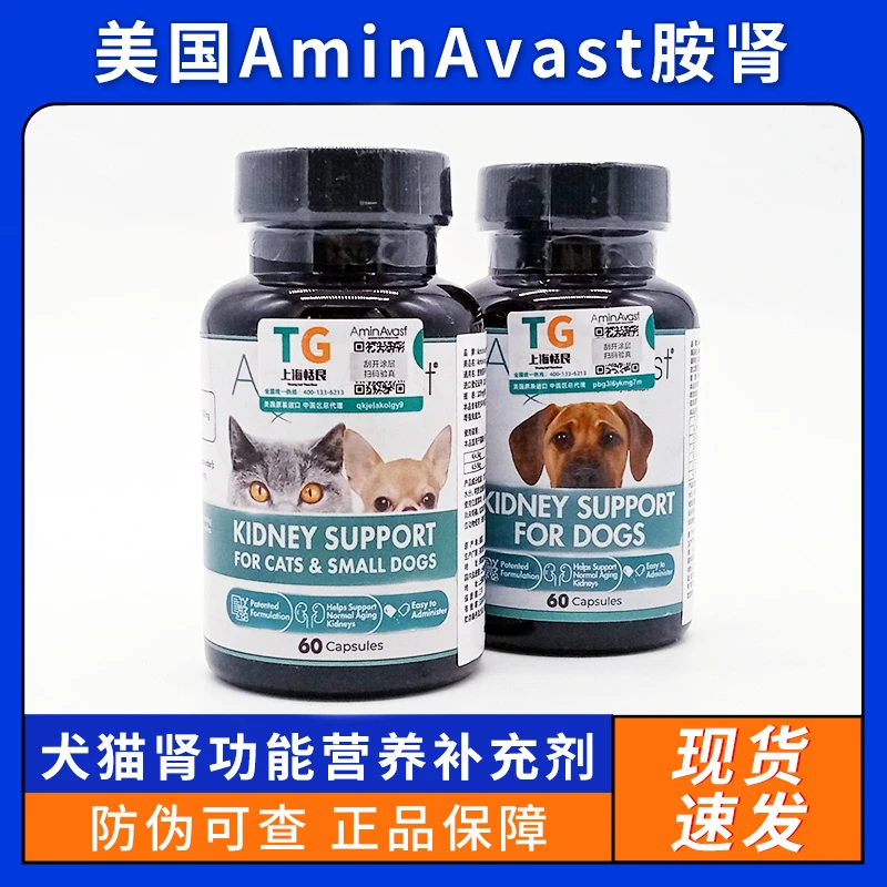 美国AminAvast肾衰停宠物胺肾犬猫60粒狗慢性肾衰肾损伤胺肾
