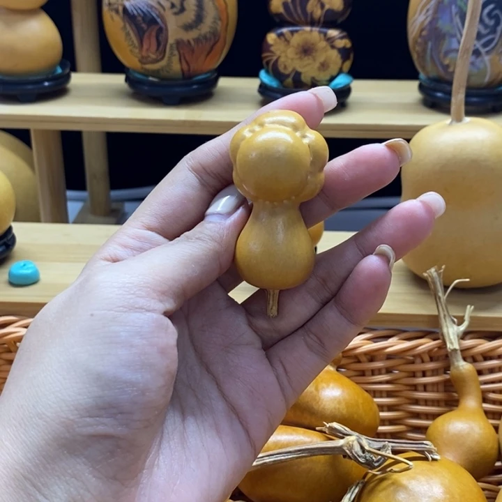 葫芦可可爱爱小乌龟啊