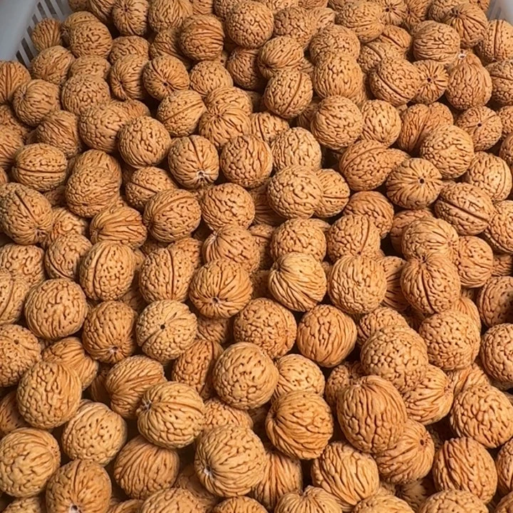 桃核吊坠66666666666