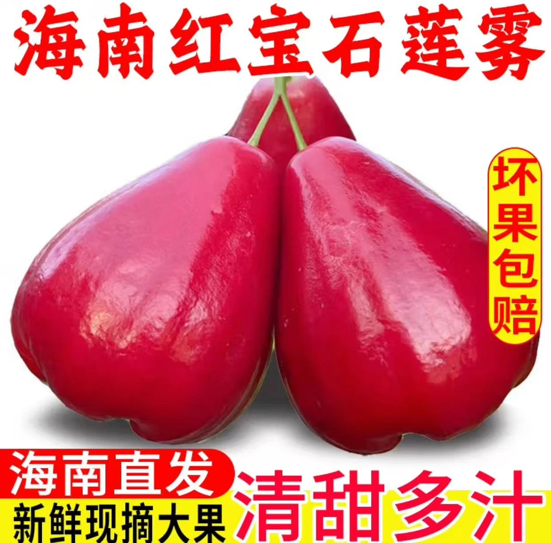 【产地直发】海南红宝石莲雾果 新鲜采摘当季清甜多汁带箱1/5斤装