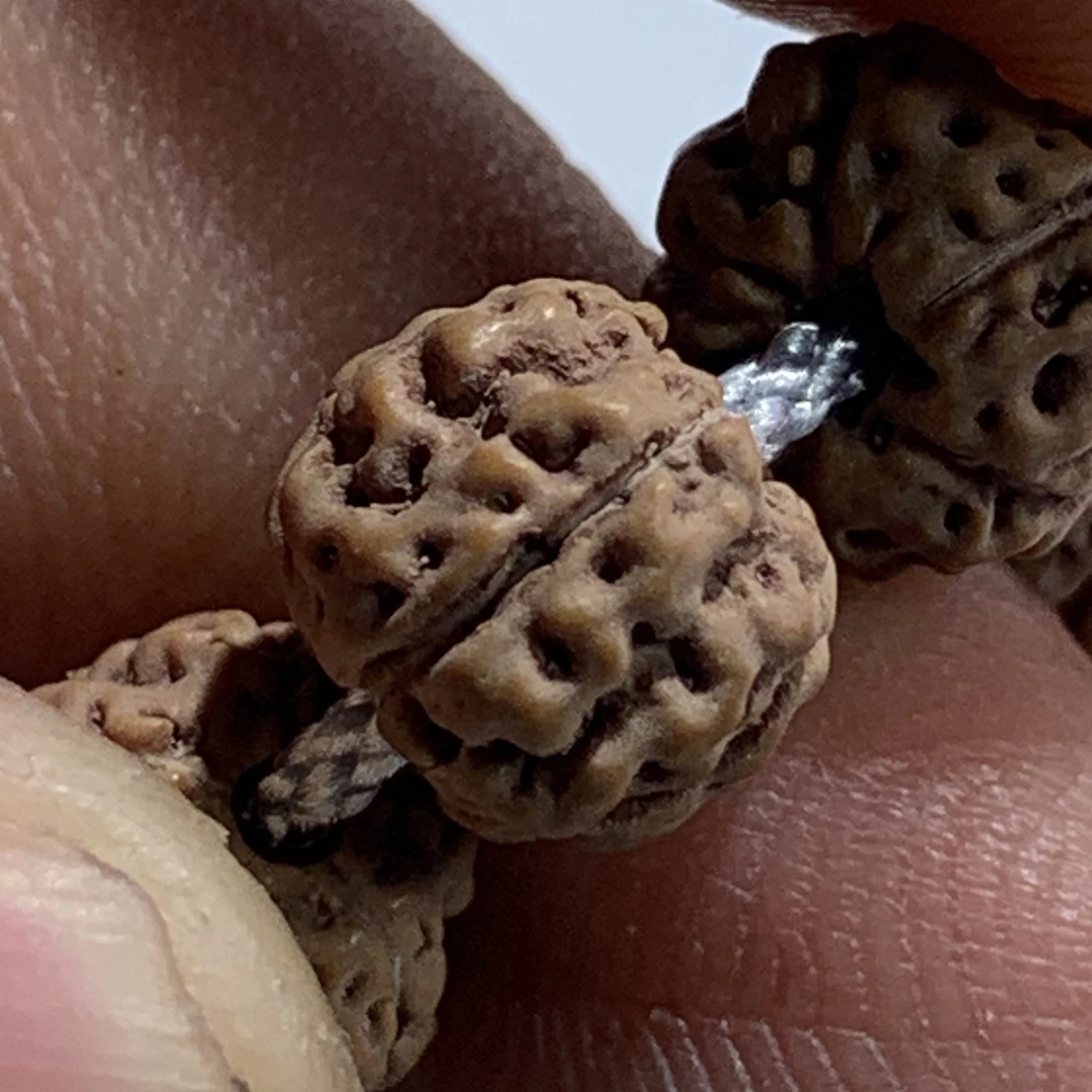 至臻【五星盘龙】《·云霆甄选》超头小金刚菩提108