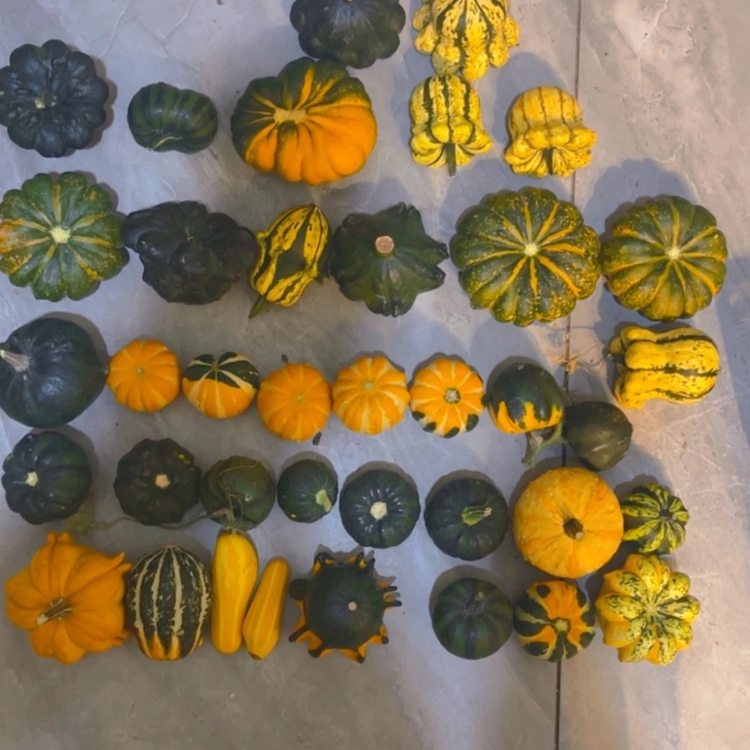 【闪购商品】那****吧哈哈哈哈哈哈哈哈