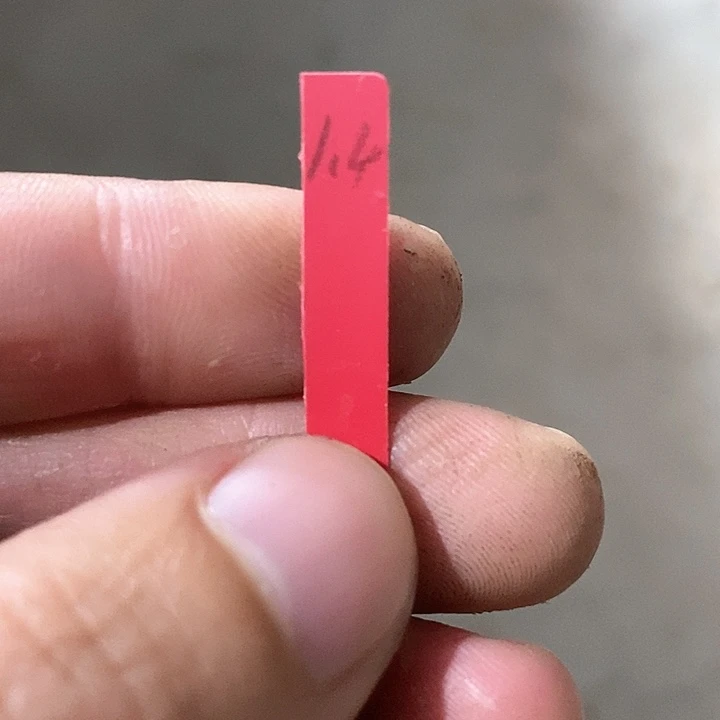 浮*风双头实生泰国大尤