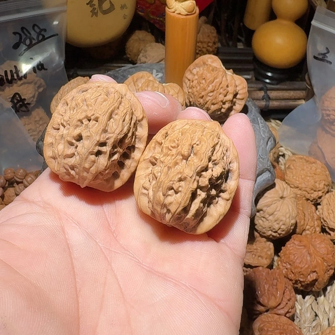 核桃野生原树蓟县马老四32尺全品