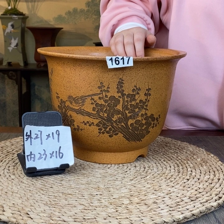 紫砂花盆  柴烧墨梅刻绘大金钟1617