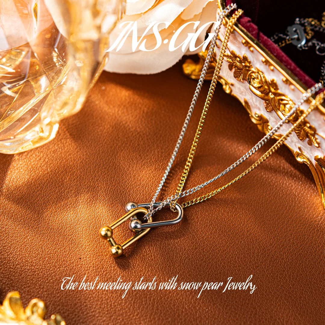 钛钢项链 【INS · GG】新款轻奢精致个性时尚百搭项链LX2775