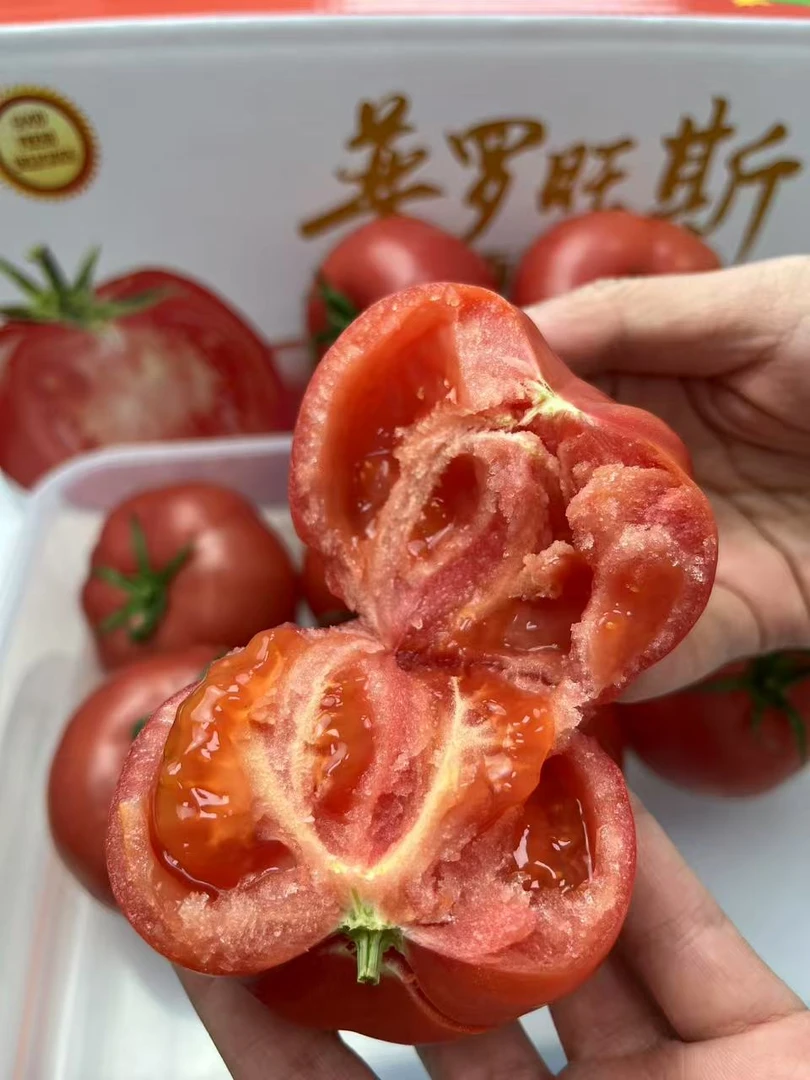 正宗普罗旺斯水果西红柿现摘新鲜沙甜多汁