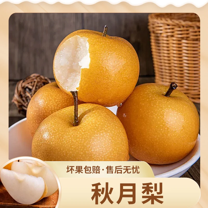 【遊园果纪】山东莱西秋月梨4.5斤4-6个彩箱装 顺丰快递/京东快递