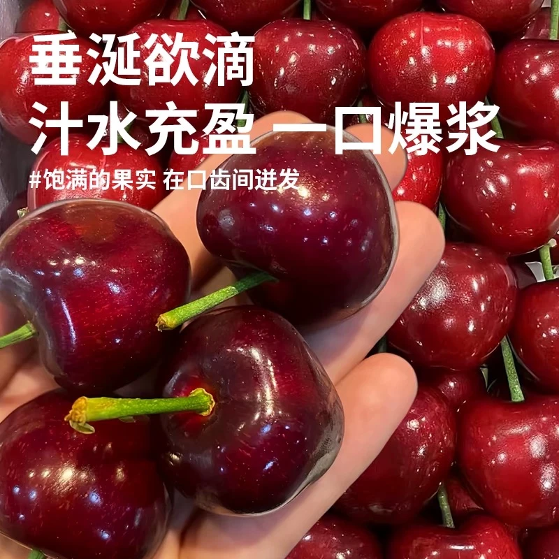 壹1果生鲜【小时达】大连美早樱桃新鲜采摘皮薄多汁4J5J6J8J 2斤装 净重1.8美早