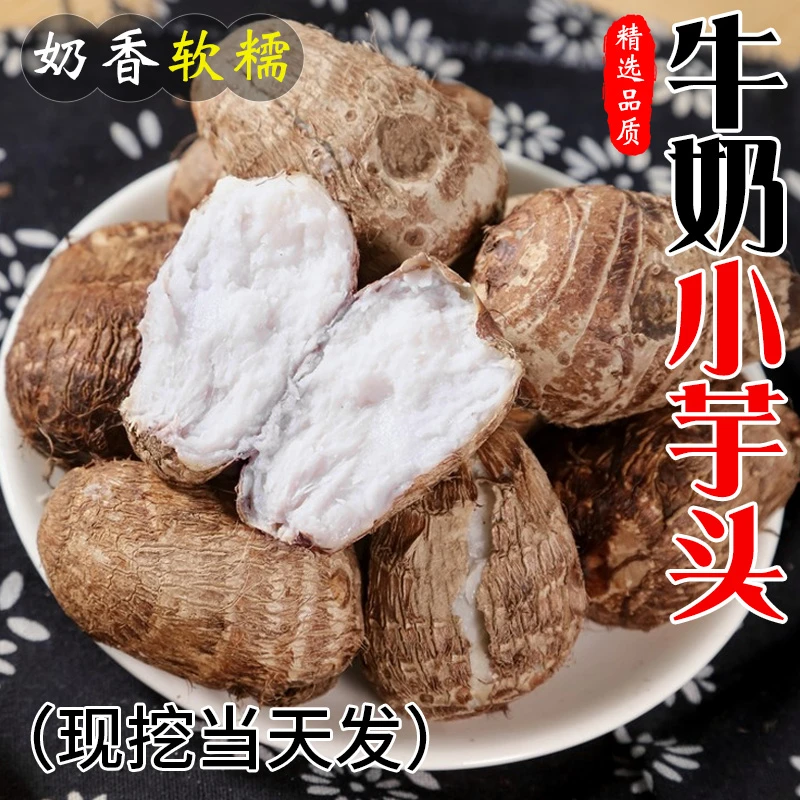【牛奶小芋头】山东新鲜牛奶芋头自家种植批发新鲜粉糯包邮整箱