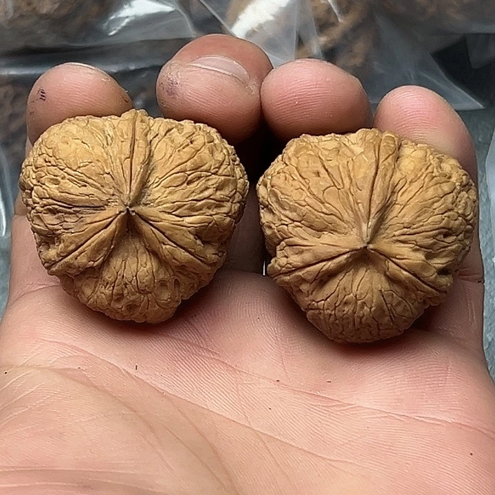 文玩核桃把件68号三角奔37尺