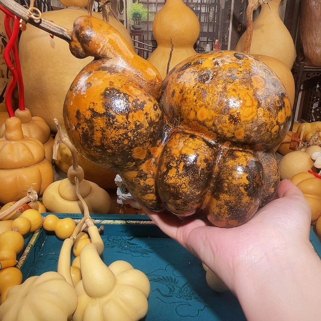 隔****?葫芦呀呀呀呀呀呀呀呀呀呀呀