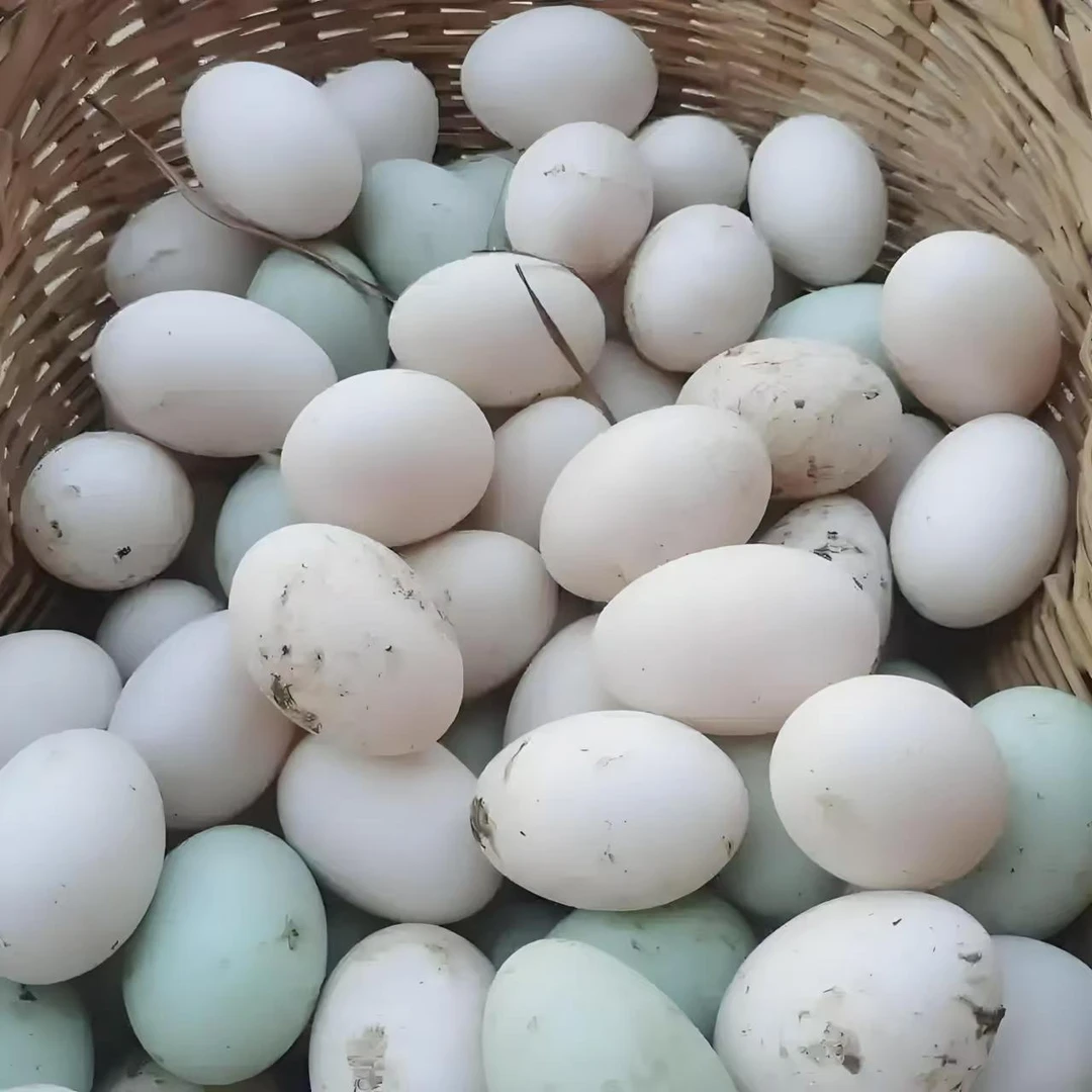 农户家土鹅蛋大小颜色不一收到啥发啥