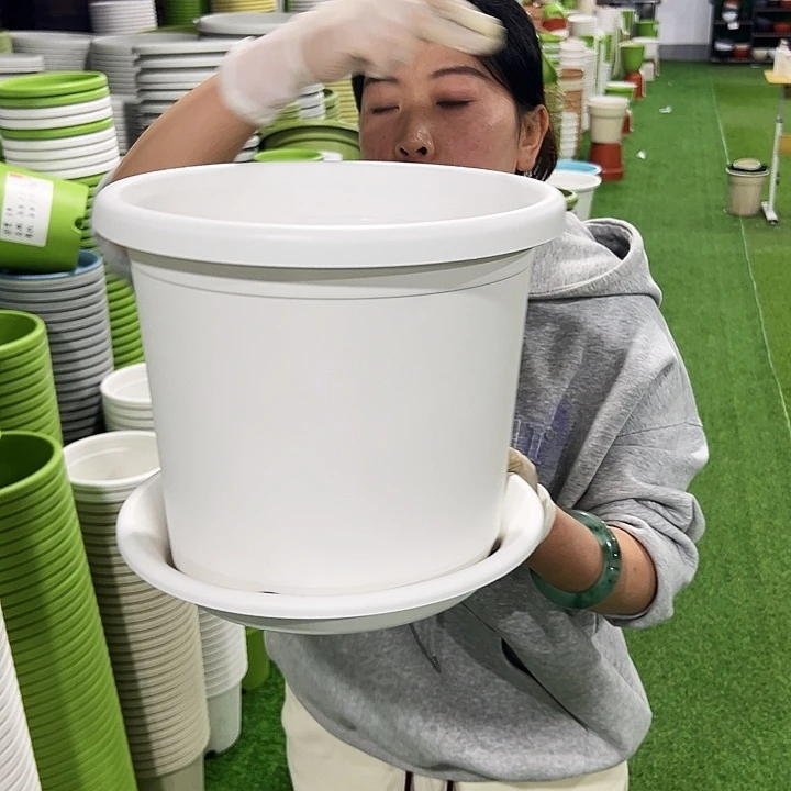 特价5号四季口29高24.5白色6只带托