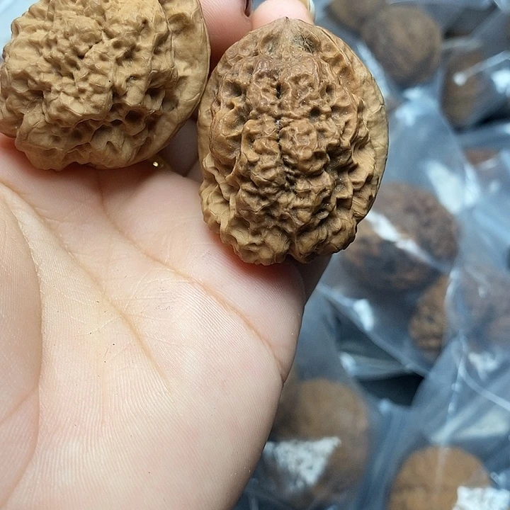 把件文玩核桃     11