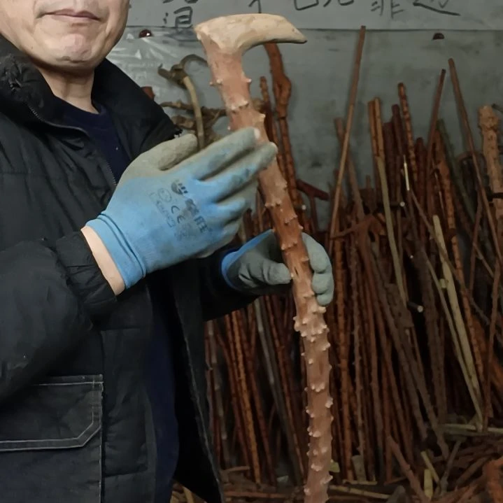 稳定木T*哥贵州檬子木   铁马鞭   根艺  半成品