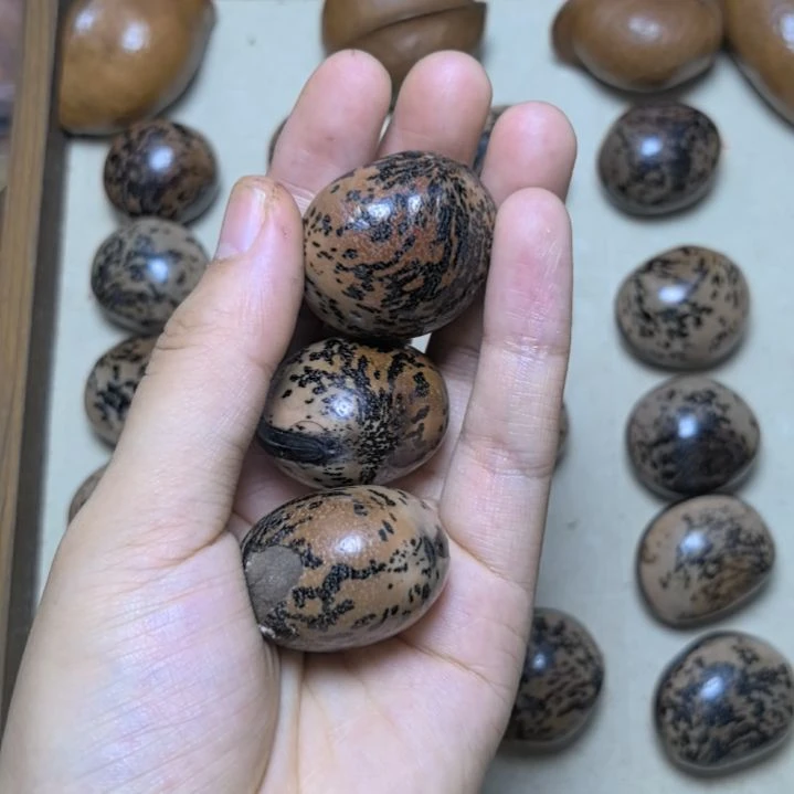 快***！吊坠滴血莲花菩提菩提散珠自选菩提