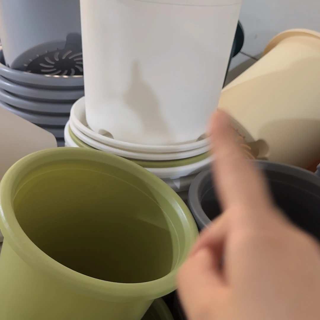 微瑕9号带托4个，白