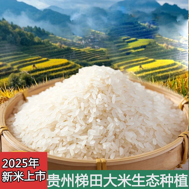 大米2025年新米贵州梯田长粒香米软糯正宗农家生态山泉水种植
