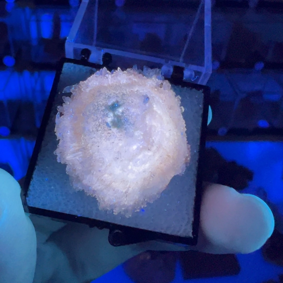 银S925镶嵌大型摆件（非配饰）紫晶