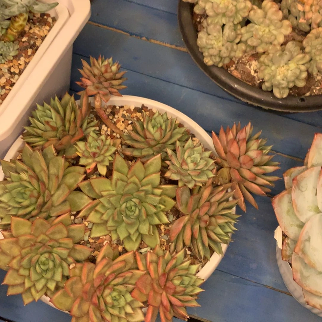 咪***咪点点滴滴点点滴滴吃饭