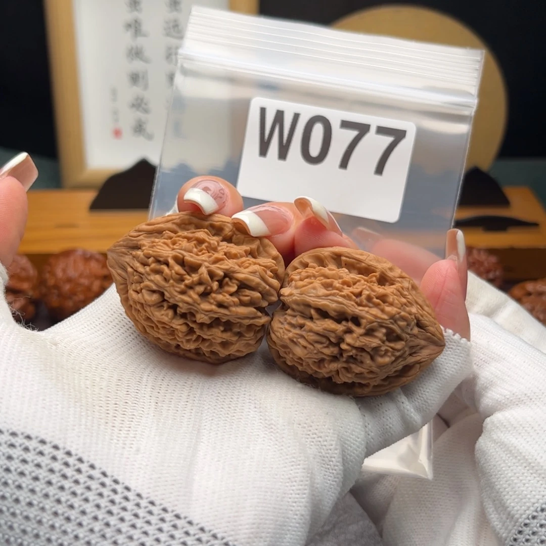 文玩核桃把件35蚂蚁王w 077