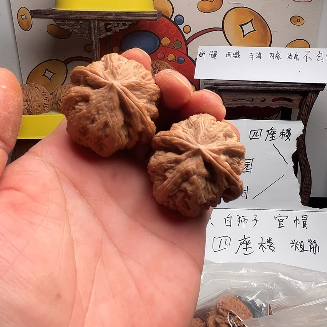 张老三的核桃粗筋1