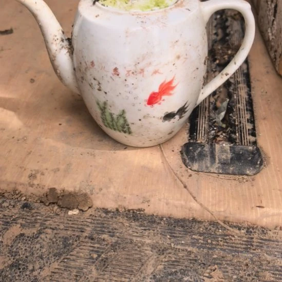鱼草纹的茶壶一把彩不好