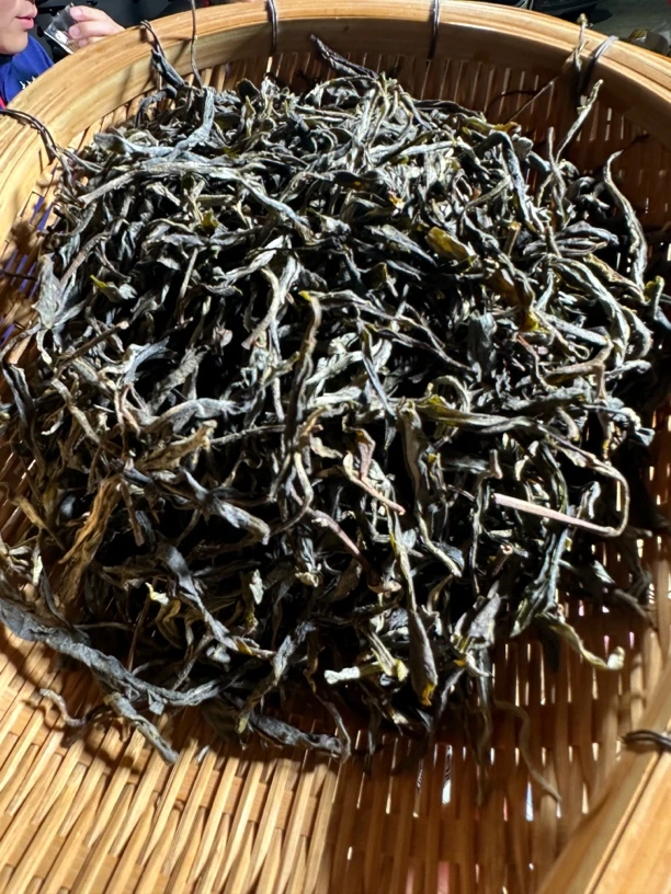 2025年云南临沧勐库河边寨头春古树生茶 7月9日 (3号)