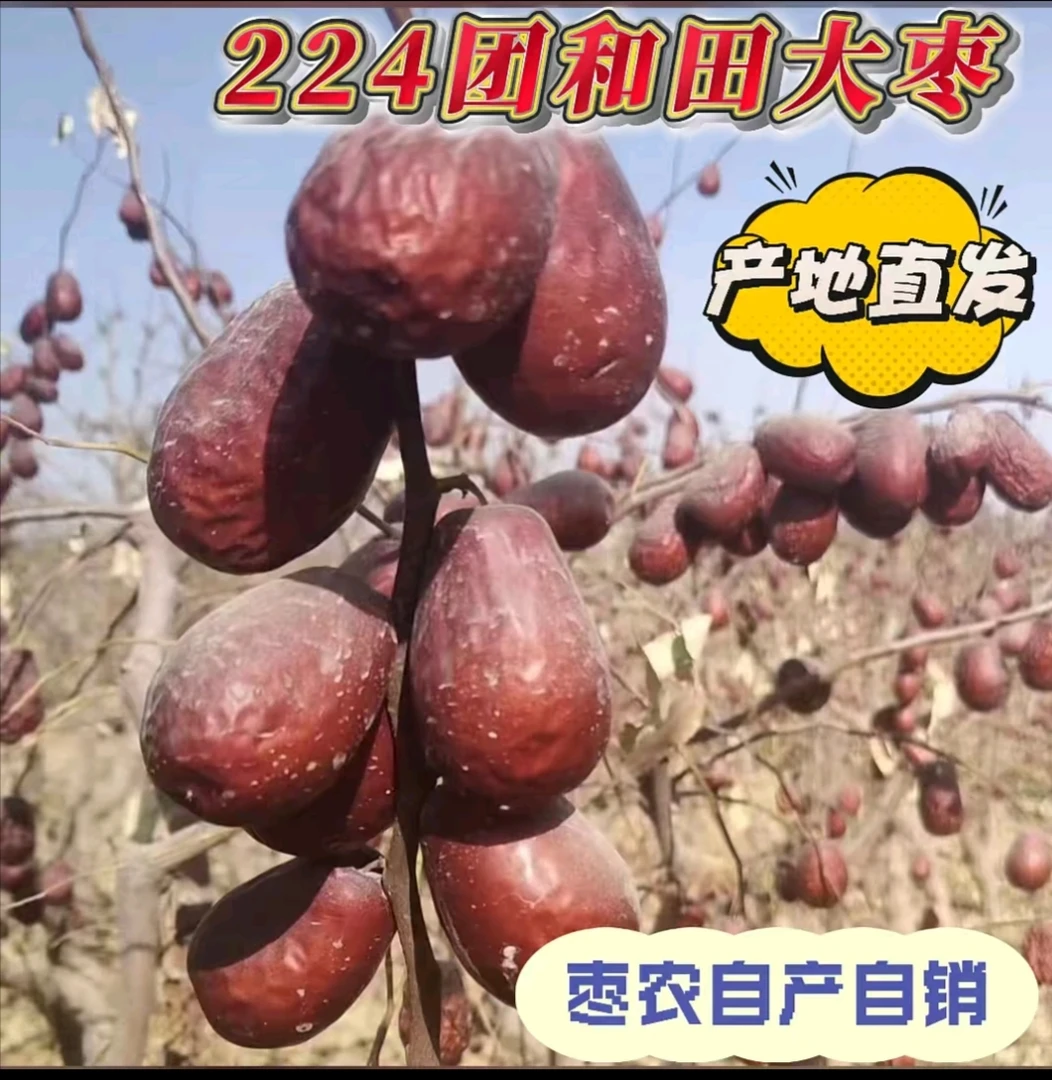 新疆原生态和田大枣二级三级混级5斤（新疆和田224团直发8-10层干）
