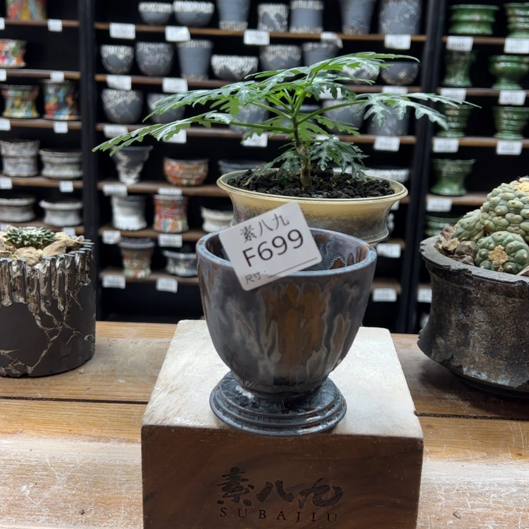 素八九陶瓷内口8高9.5雲**