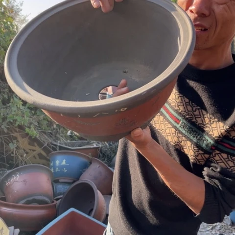 花盆紫砂特价特价包邮新款