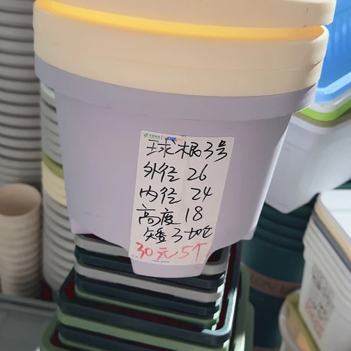 球根26口径6个无托灰白