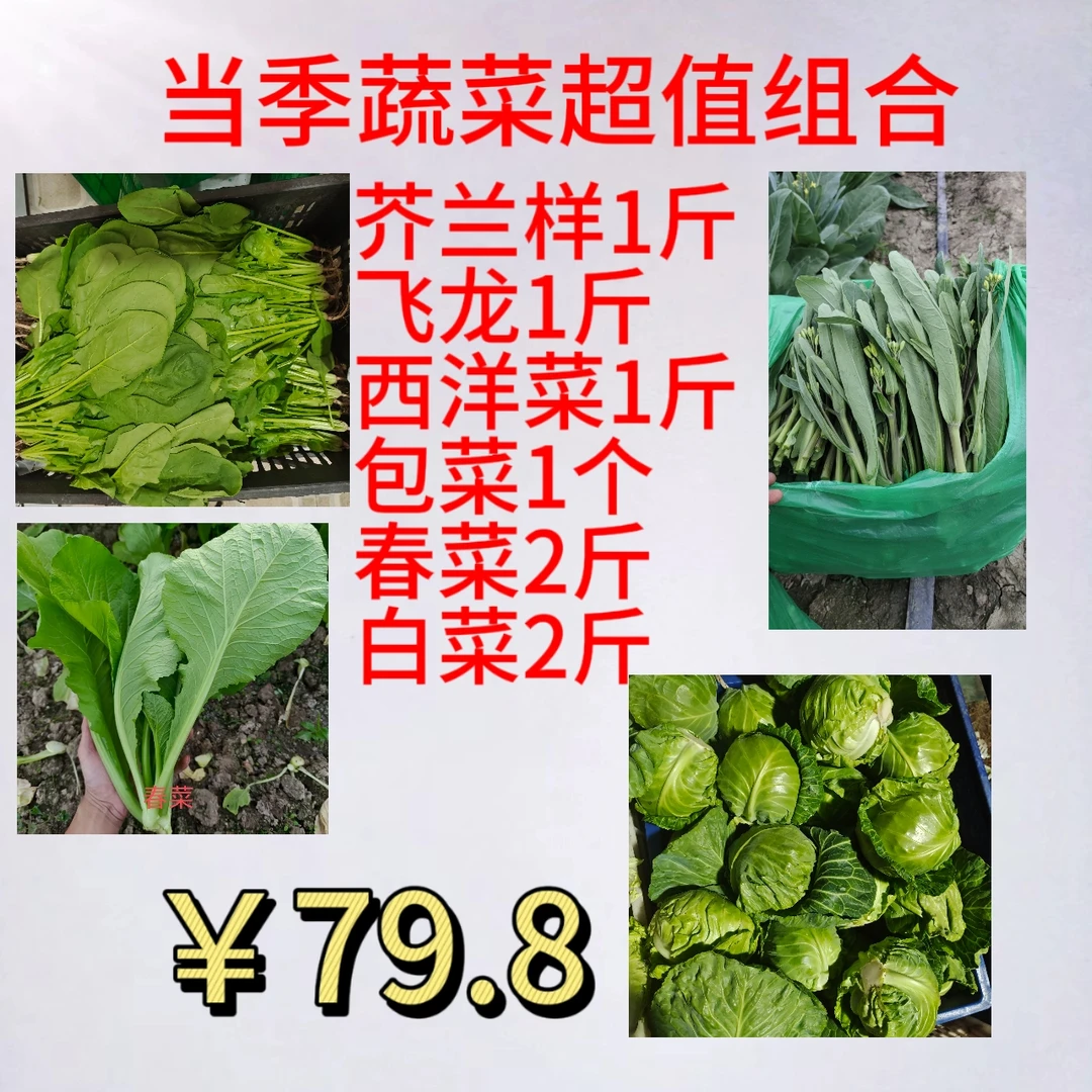 潮汕当季蔬菜组合A-省内顺丰包邮-干水发货品质高口感好