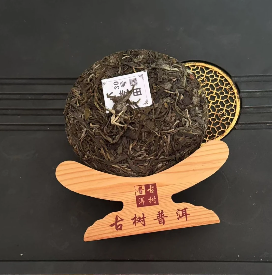 23年三百年古树单株200g 《小荒田30号》