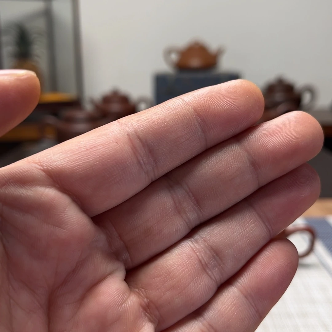 紫砂茶壶取****难子冶石瓢壶
