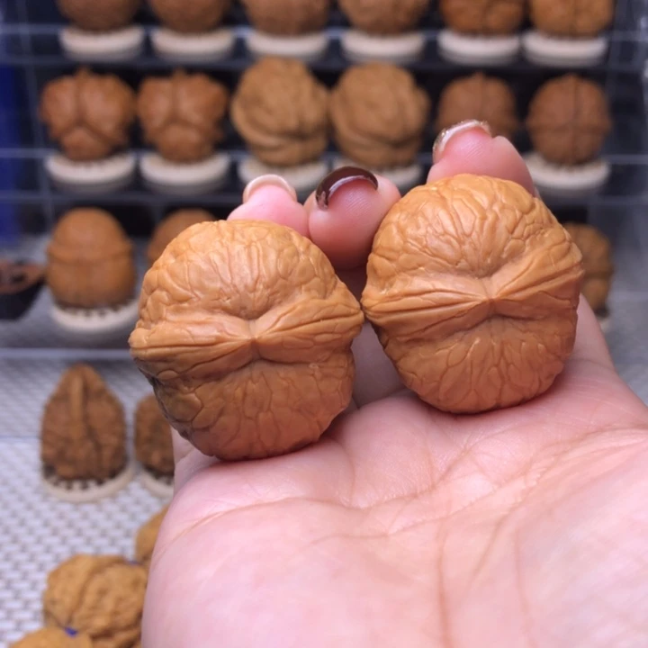 文玩核桃把件39号霸王筋33➕尺