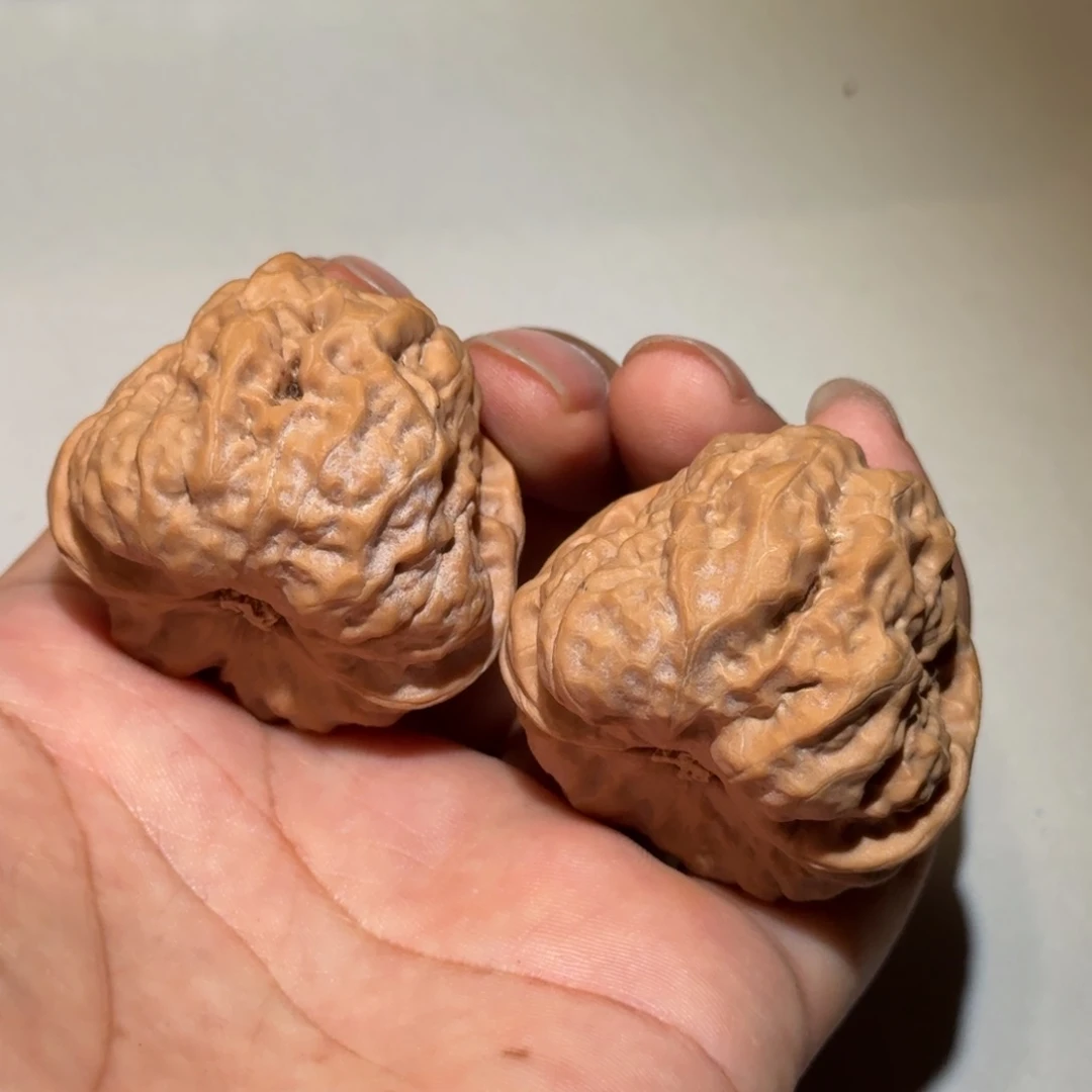 41尺肌肉怀柔蛤蟆头7777