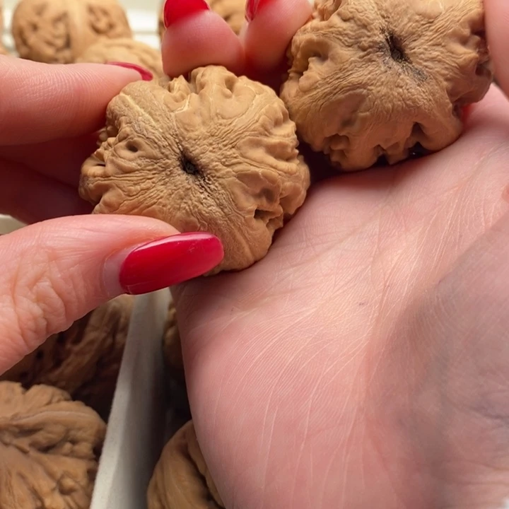 風***者霸王龙全品无修一刀没动